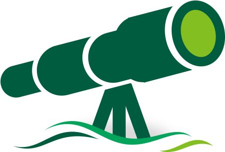 Vision Icon